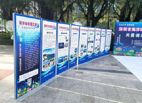 白水KT板的种类和知识。